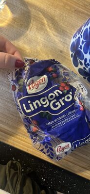 [G-OTR-030] Pan con arandanos Lingon Grova Pagen 500g