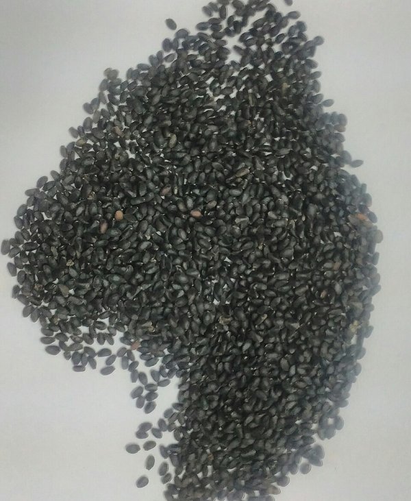 Tukmaria (Basil Seeds) 300 g